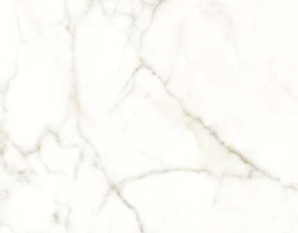 Unlock Luxury and Elegance with White Marble Bathroom Tiles!