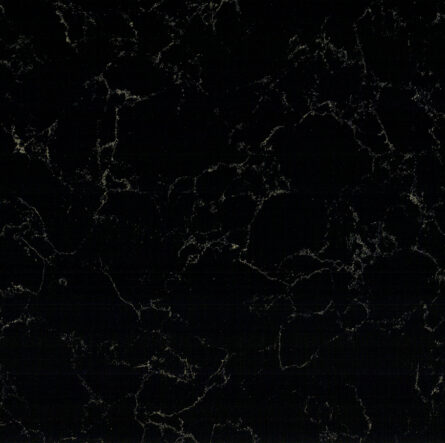 BLACK GOLD VEINS